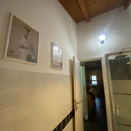 Giraffa A Apartment